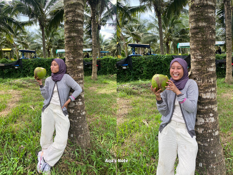 Aqalili Azizan Selangor Fruit Valley Pandan Coconut
